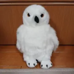 ヘドウィグ ぬいぐるみのサムネイル