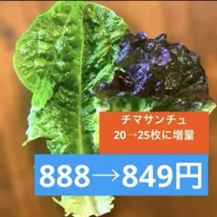 韓国野菜 サンチュ ミックス ネコポス便 - メルカリ
