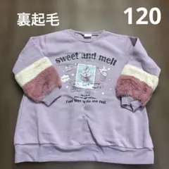 裏起毛トレーナー　チュニック丈　120