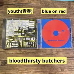 bloodthirsty butchers アルバム2枚セット
