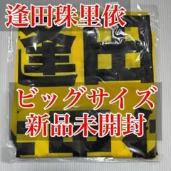 藤沢莉子 公式ビブス2024 ビッグサイズ 新品未開封 ニアジョイ ≒JOY 2025年最新】ニアジョイ ビブスの人気アイテム - メルカリ