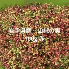 2025年最新】花山椒の人気アイテム - メルカリ