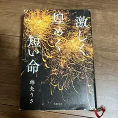 激しく煌めく短い命 綿矢りさ 文藝春秋