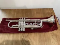 Item thumbnail for item 65e336b6-065d-4455-a055-698ad02e8288