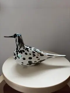 イッタラバード　Spotted Sandpiper SSKK 2006 傷あり