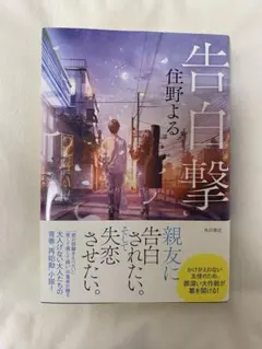 kaisei様 リクエスト 2点 まとめ商品