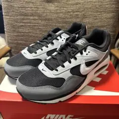 Nike Air Max グレー/ブラック スニーカー