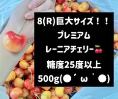超希少8R 巨大レーニアチェリー 糖度25度以上 500g さくらんぼ　チェリーのサムネイル