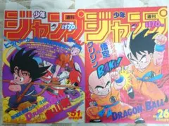 【40周年】ドラゴンボール ポスターコレクション フラットガシャポン2種
