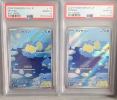 2025年最新】タマザラシ ar psa10の人気アイテム - メルカリ