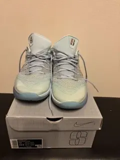 ナイキ　サブリナ 3 バッシュ　nba nike sabrina