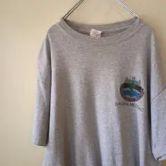 GILDAN　ギルダン Tシャツ BAVARIA MEDDAC グレー