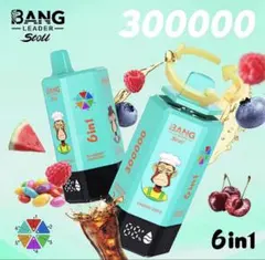 即日発送可BANG Leader 6in1 300000 puff ゼロニコチン - メルカリ