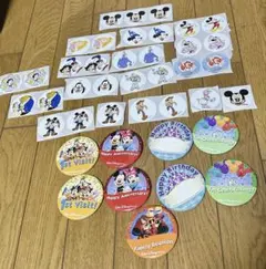 非売品 キャスト用 関係者 ディズニーストア Disney 缶バッジ バッチ