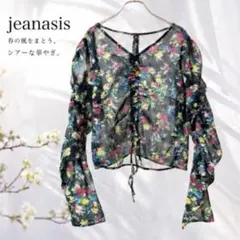 ジーナシス 2WAYギャザードロストシアー 花柄 ブラウス 長袖 Fのサムネイル