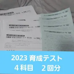 2025年最新】日能研 育成テスト 5年の人気アイテム - メルカリ