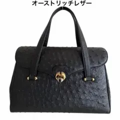 2025年最新】オーストリッチ ハンドバッグ レディース 中古の人気