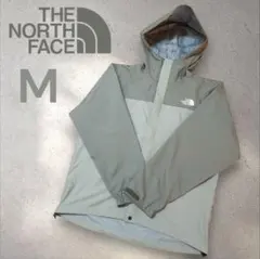 人気色✨THE NORTH FACE ドットショットジャケット NP62452