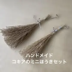 Item thumbnail for item c80ec68c-2eef-44d3-95cb-d396bc6db658