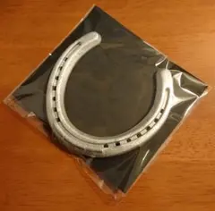 【本物の蹄鉄】馬蹄