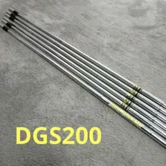 2026年最新】ダイナミックゴールドs200の人気アイテム - メルカリ