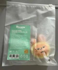 PPULBATU 풀바투 판춘 페이스 스키링 TXT