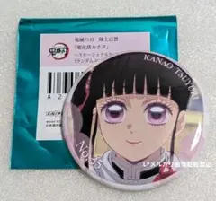 鬼滅の刃 隊士百景 エモーショナル缶バッジ 栗花落カナヲ 35