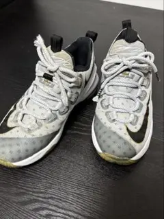 レブロン バスケットボール