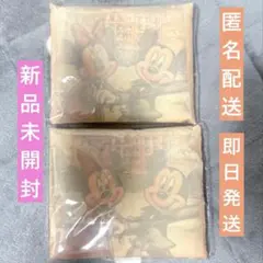 ディズニーランドホテル エコバッグ 2点セット