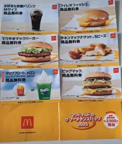 【本日発送可能17時まで】マクドナルドのサマーチャンスバッグ2025