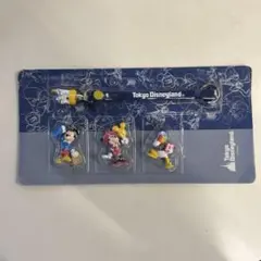 未使用未開封　東京ディズニーリゾート　オリジナル携帯ストラップ