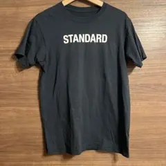 THE NORTH FACE STANDARD Tシャツ L