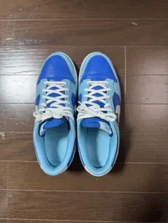 Nike アルゴンダンク27cm