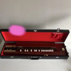 YAMAHA Violyre ヴィオリラ 本体 ケース付 楽譜2冊セット - メルカリ