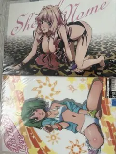 マクロスF 劇場版クリアファイルセット