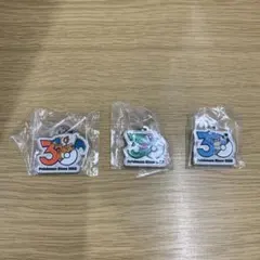 ポケモン メタルチャーム 30周年記念 3個セット