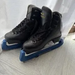 Item thumbnail for item abee194a-a4fe-48e0-bc23-7f6e8b177ced