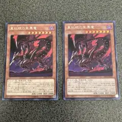 遊戯王 真紅眼の亜黒竜 シークレット 2枚
