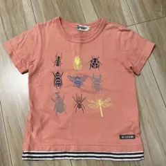 KP CLOTHING 昆虫プリント Tシャツ　虫柄のサムネイル