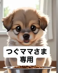 つぐママさま専用
