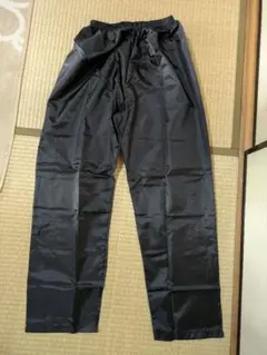 Item thumbnail for item a6454c64-ec5d-483f-a901-c3c66732256f