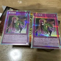 香水戦術　プリズマ　2枚セット 開けたて美品