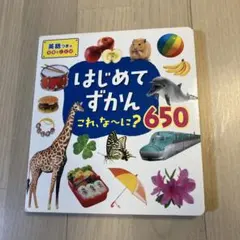 はじめてずかん　これ、なーに？　650 英語付き　写真とことば