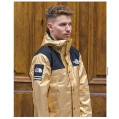 Supreme TNF Metallic Mountain Parka