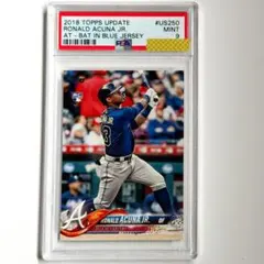 2026年最新】アクーニャjrの人気アイテム - メルカリ