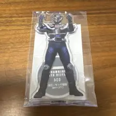 仮面ライダー龍騎　仮面ライダー　王蛇　ブランク体　アクリルスタンド