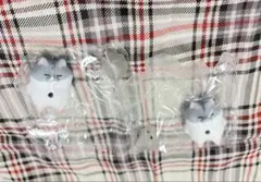 ふわっとおでかけ！ あにまる幽霊さんぽ はむたま　ハムスター 2匹