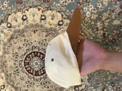 柴田ひかり　キャップ