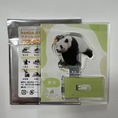 アドベンチャーワールド　パンダ　蓉浜　アクリルスタンドのサムネイル