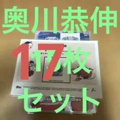 東京ヤクルトスワローズ 奥川恭伸 トレーディングカード17枚セット